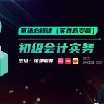 2025年/初级会计师/实务/斯尔教育/基础必修课-实践新与变/张娜